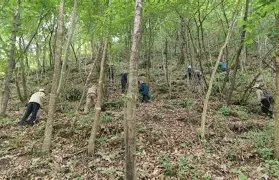yabo- 重磅！那不勒斯状态回暖曼联更衣室发声备战意大利杯，今晨迎来里程碑